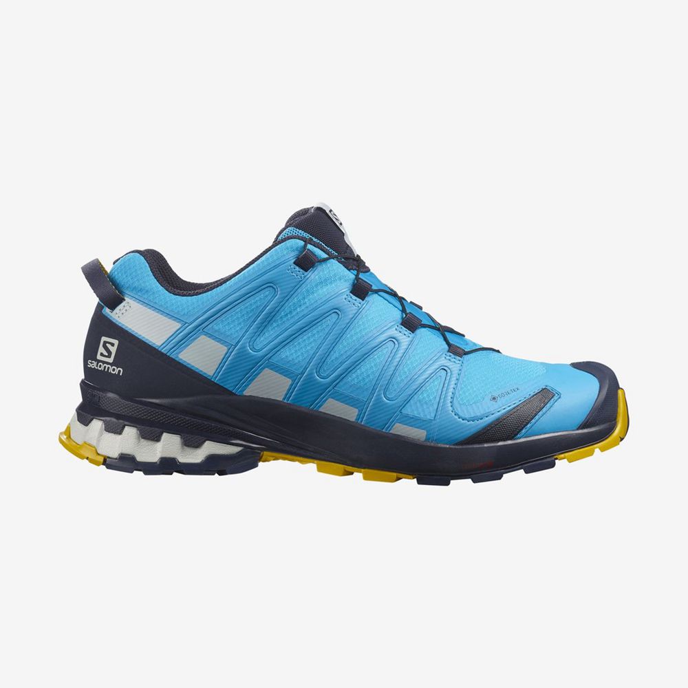 Chaussures De Randonnée Salomon Homme Bleu - Salomon XA PRO 3D V8 GORE-TEX - France (6095-PCVFI)